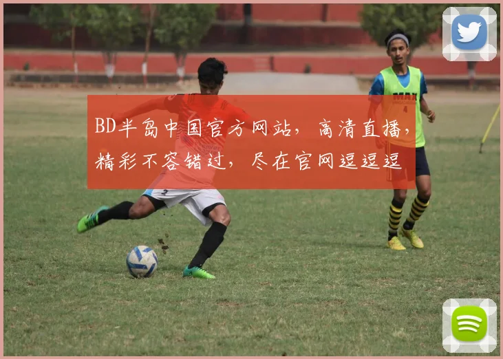 BD半岛中国官方网站，高清直播，精彩不容错过，尽在官网逗逗逗