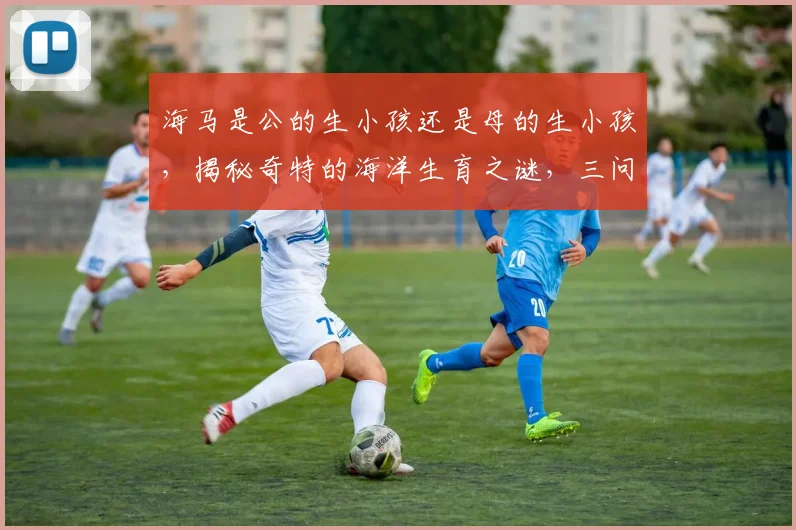 海马是公的生小孩还是母的生小孩，揭秘奇特的海洋生育之谜，三问海马繁殖奇观