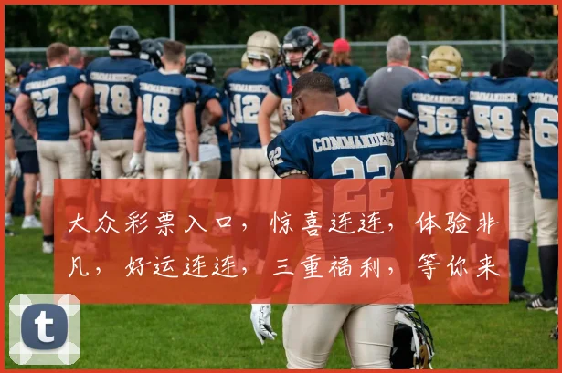 大众彩票入口，惊喜连连，体验非凡，好运连连，三重福利，等你来拿