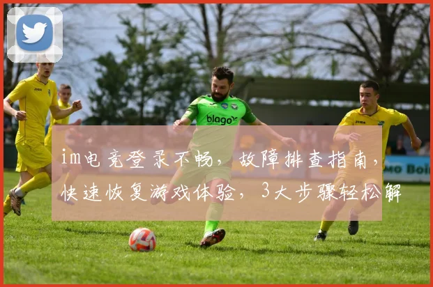 im电竞登录不畅，故障排查指南，快速恢复游戏体验，3大步骤轻松解决