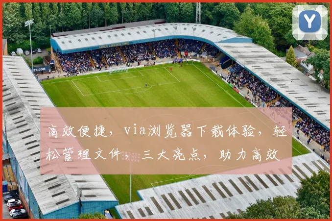 高效便捷，via浏览器下载体验，轻松管理文件，三大亮点，助力高效办公